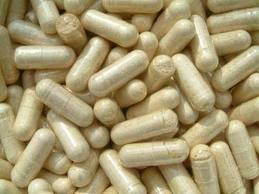 probiotics