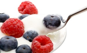 probiotics yogurt