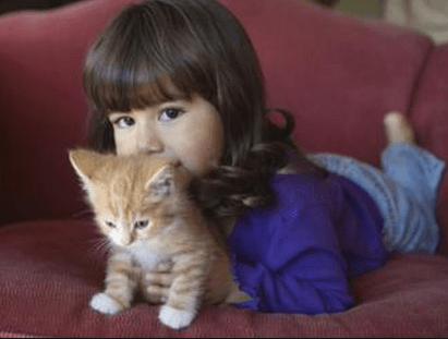 child & cat