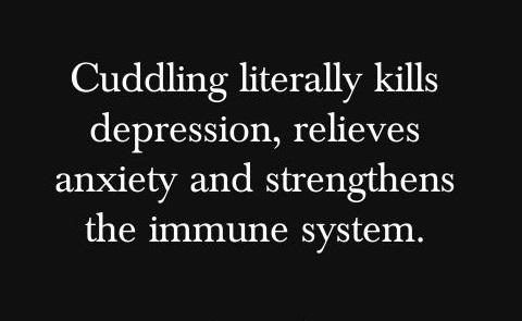 cuddles