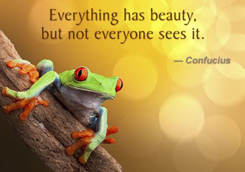 confucius-beauty