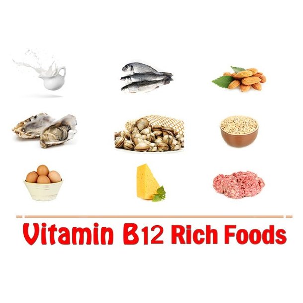 Vitamin-B12-Rich-Foods