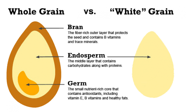 whole-grains-explained