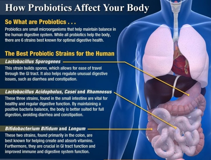 probiotics