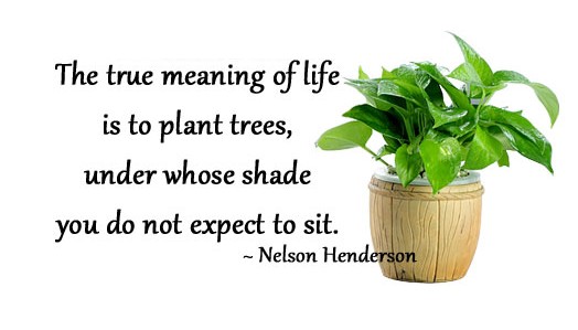 true-meaning-of-life