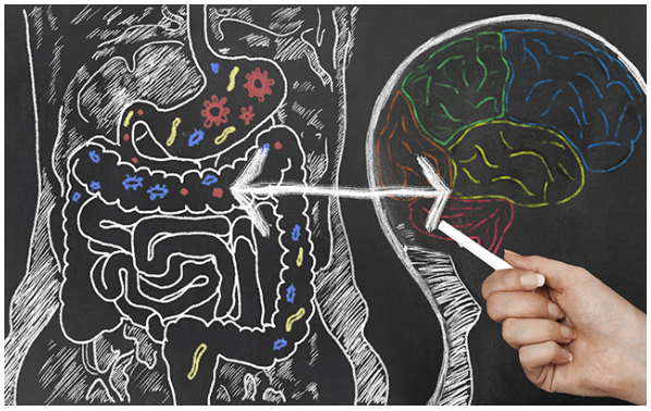 gut-brain