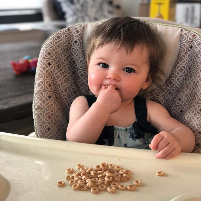 baby_child_cheerios_cereal